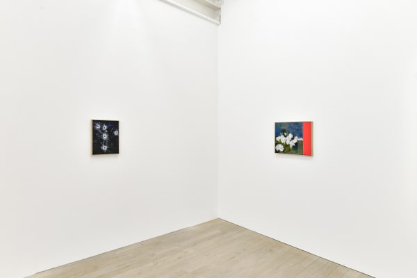 Installation view, Uwe Wittwer: Im Walde, Galerie Peter Kilchmann, Zurich, Switzerland, 2021