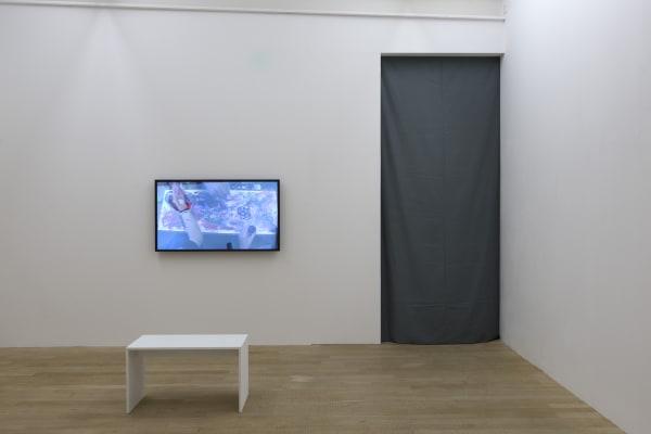 Installation view, Artur Zmijewski: Imprisoned, Galerie Peter Kilchmann, Zurich, Switzerland, 2014