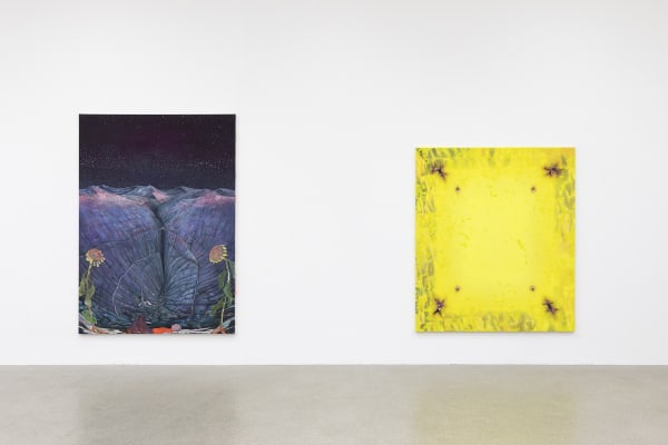 Installation view, (Un)certain Ground, Andriu Deplazes, Centre Pasquart, Biel, Switzerland, 2022