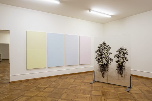 Installation view, (Un)certain Ground, Uwe Wittwer, Centre Pasquart, Biel, Switzerland, 2022
