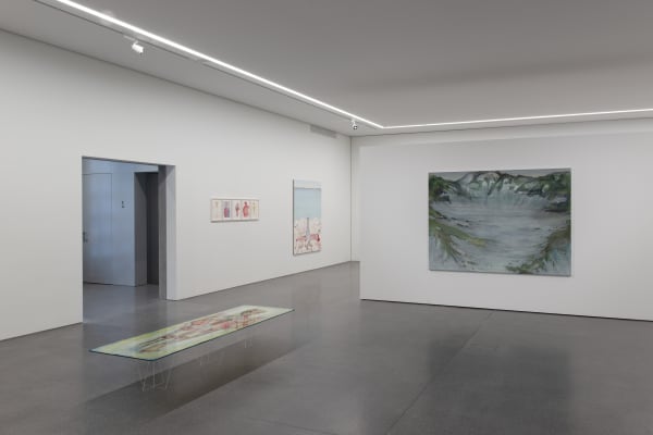 Installation view, Andriu Deplazes: Rote Augen, Bündner Kunstmuseum Chur, Chur, Switzerland, 2019