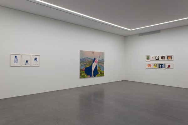 Installation view, Andriu Deplazes: Rote Augen, Bündner Kunstmuseum Chur, Chur, Switzerland, 2019