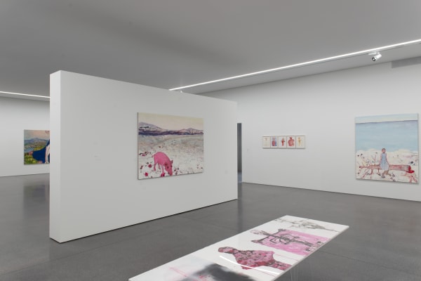 Installation view, Andriu Deplazes: Rote Augen, Bündner Kunstmuseum Chur, Chur, Switzerland, 2019
