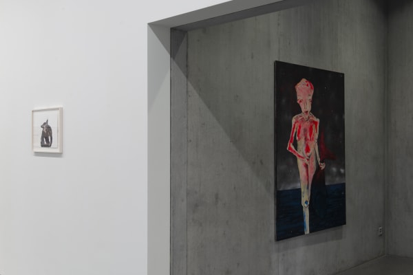 Installation view, Andriu Deplazes: Rote Augen, Bündner Kunstmuseum Chur, Chur, Switzerland, 2019