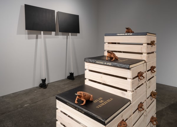 Installation views: Javier Téllez, Amerika, CARA Foundation, New York, 2024. Photos: Kris Graves.