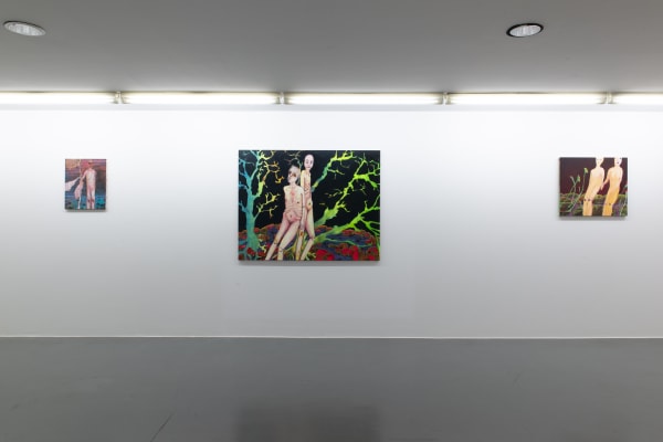 Installation view, Andriu Deplazes: Körper, Blume, Wasser, Gras, Kunstverein Friedrichshafen, Friedrichshafen, Germany, 2018