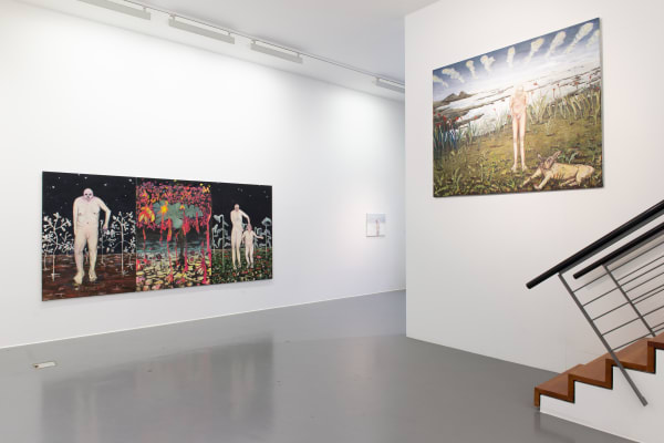 Installation view, Andriu Deplazes: Körper, Blume, Wasser, Gras, Kunstverein Friedrichshafen, Friedrichshafen, Germany, 2018