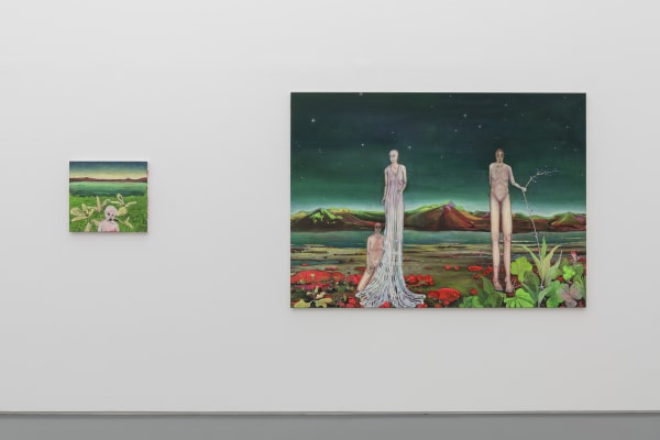 Installation view, Andriu Deplazes: CARAVAN 1, Aargauer Kunsthaus, Aarau, Switzerland, 2018