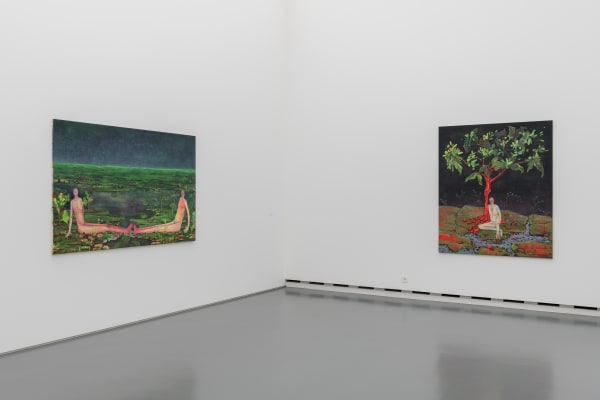 Installation view, Andriu Deplazes: CARAVAN 1, Aargauer Kunsthaus, Aarau, Switzerland, 2018