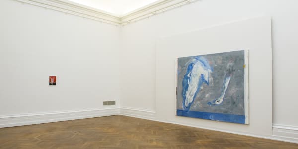Installation view, Valérie Favre: Une exposition monographique, Musée d'art et d'histoire, Neuchâtel, Switzerland, 2017-2018