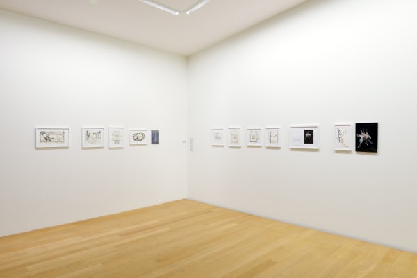 Installation view, Valérie Favre, Museum Franz Gertsch, Burgdorf, Switzerland, 2016