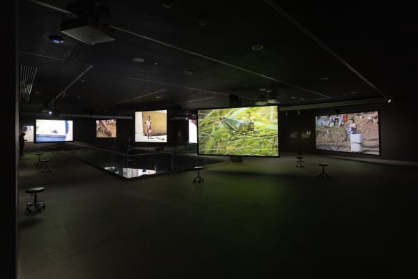 Children's Games, September 28, 2024 – April 6, 2025. Francis Alÿs. Curatorship: Cuauhtémoc Medina and Virginia Roy. Courtesy of MAZ / EstaciónMAZ. Photography: Lazarillo.