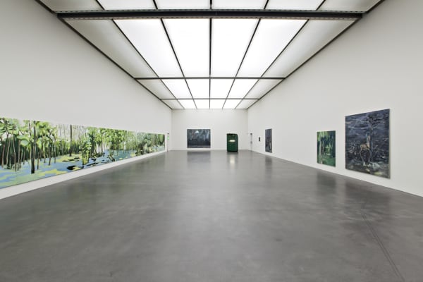 Installation view, Valérie Favre: Vision, Kunstmuseum Luzern, Luzern, Switzerland, 2009