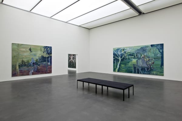 Installation view, Valérie Favre: Vision, Kunstmuseum Luzern, Luzern, Switzerland, 2009