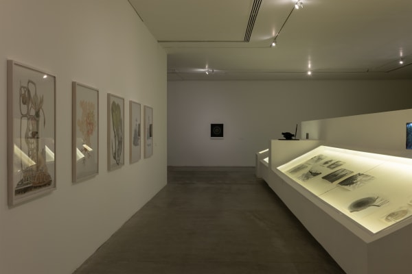 Time Feels Less If We Stay Still,” May 31 – October 26, 2025, Museo de Arte de Zapopan. Courtesy of Museo de Arte de Zapopan (MAZ). Photo: Lazarillo