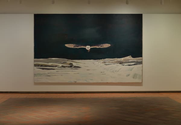Installation view, Marc-Antoine Fehr: Les nuits bourgignonnes, Château de Gruyères, Gruyère, Switzerland, 2022