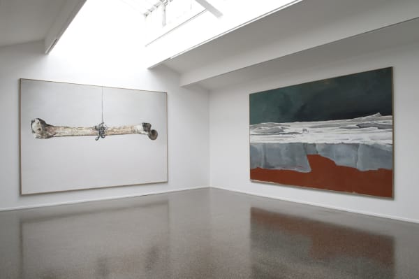 Installation view, Marc-Antoine Fehr: Point de fuite, Centre Culturel Suisse, Paris, France, 2015