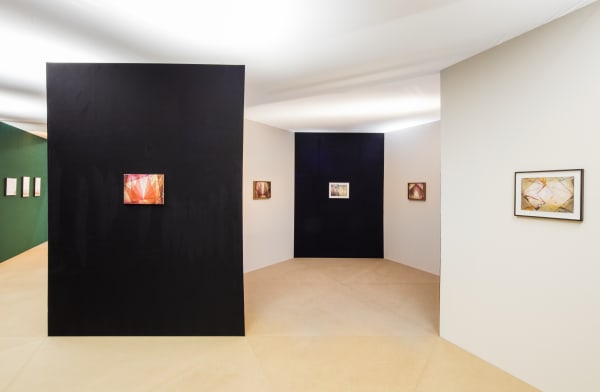 Installation view, Bernd Ribbeck, Wilhelm-Hack-Museum, Ludwigshafen, Germany, 2016