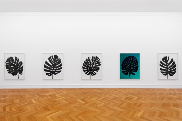 Installation view, Shirana Shahbazi: MONSTERA, Kunsthalle Bern, Bern, Switzerland, 2014