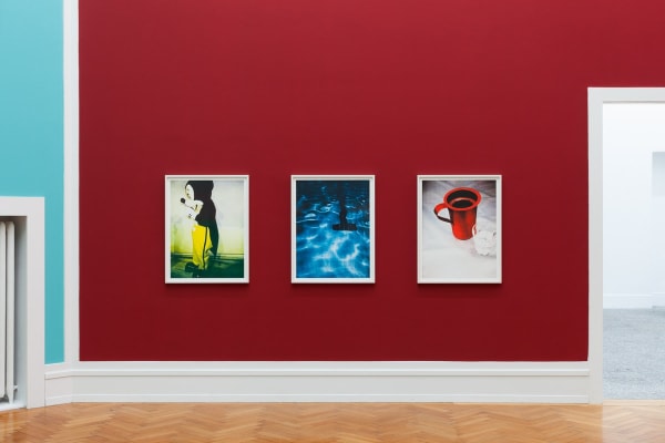 Installation view, Shirana Shahbazi: MONSTERA, Kunsthalle Bern, Bern, Switzerland, 2014