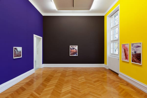 Installation view, Shirana Shahbazi: MONSTERA, Kunsthalle Bern, Bern, Switzerland, 2014
