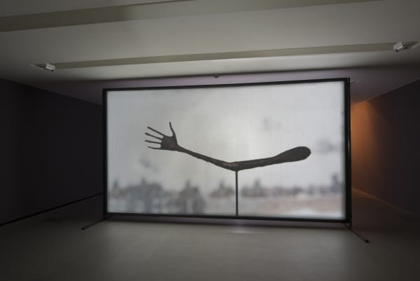 Installation view, Javier Telléz: Shadow Play, Kunsthaus Zurich, Zurich, Switzerland, 2014-2015