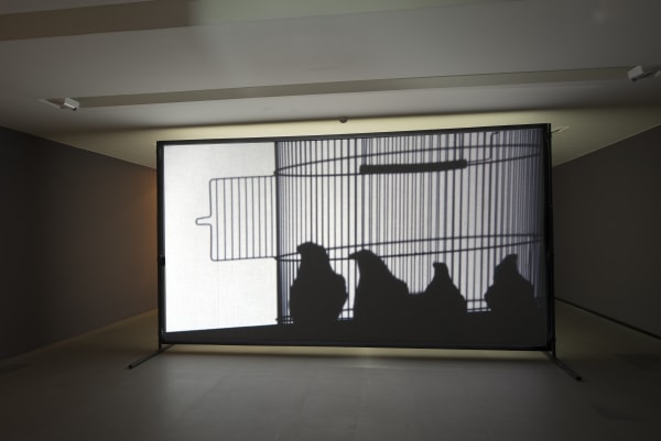 Installation view, Javier Telléz: Shadow Play, Kunsthaus Zurich, Zurich, Switzerland, 2014-2015