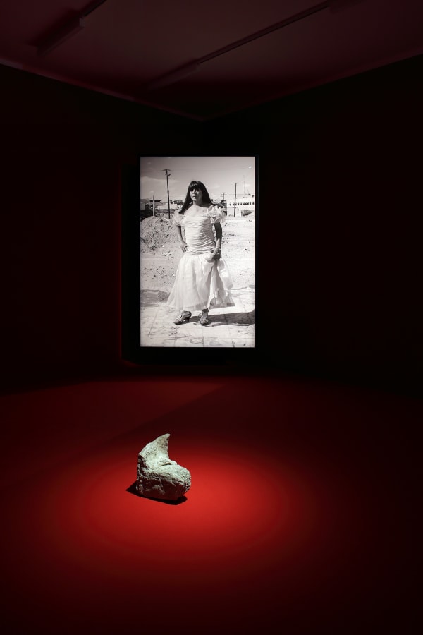 Installation view, Teresa Margolles: En la Herida, Kunsthalle Krems, Krems, Austria, 2019-2020
