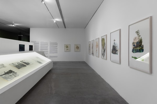 Melanie Smith Time feel less if we stay stillMuseo de Arte de Zapopan, Zapopan, Mexico