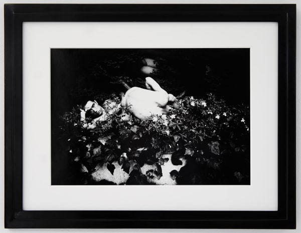 Ordeal by Roses, #15, 1961 © Eikoh Hosoe