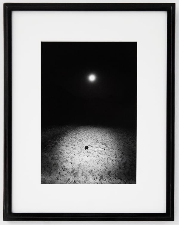 Kamaitichi #36, 1968 © Eikoh Hosoe