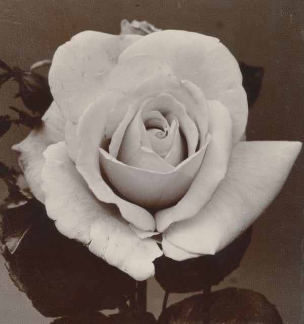 Charles Jones