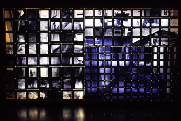 Rosângela Rennó, Apagamento #4, 2004 - 2005