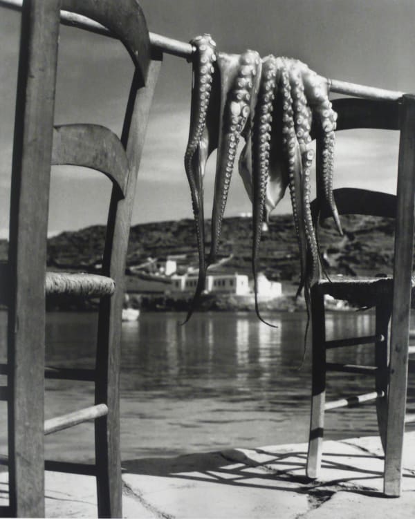 Herbert List, Octopus, Corfu, Greece 1938