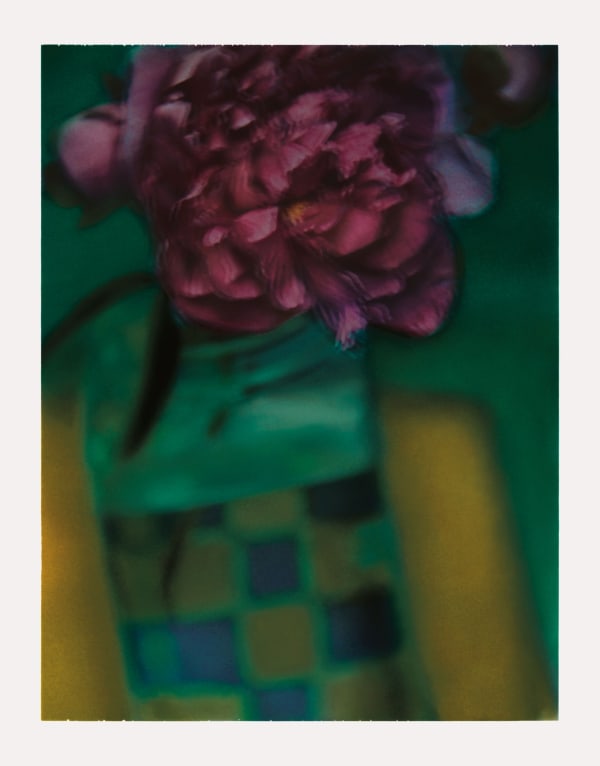 Sarah Moon, La pivoine 1, 2000