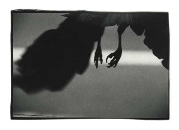 Masahisa Fukase, Koen-dori, Shibuya, 1982