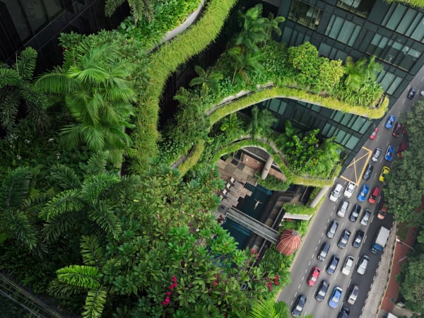 Lucas Foglia, Esme Swimming, Parkroyal on Pickering, Singapore, 2017