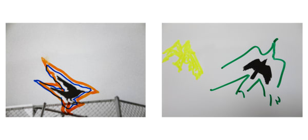 Masahisa Fukase, Ravens '92