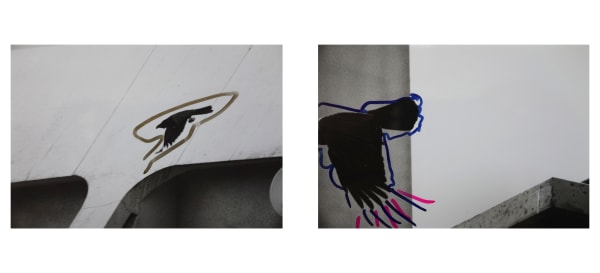 Masahisa Fukase, Ravens '92