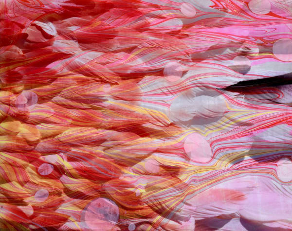 Chloe Sells, Flamboyant, 2018