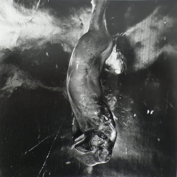 Shomei Tomatsu & Daido Moriyama