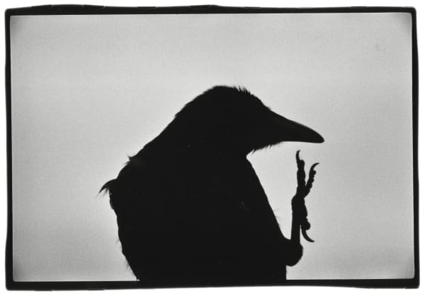 MASAHISA FUKASE