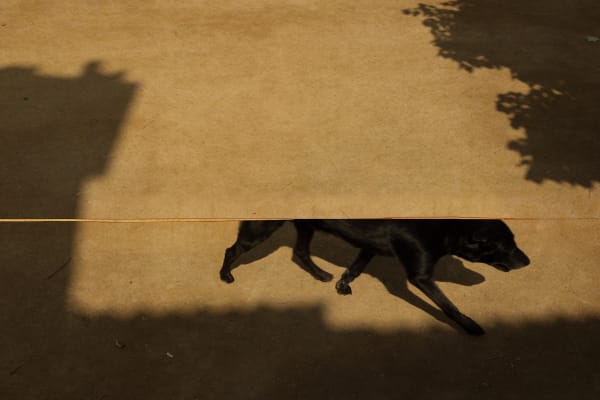 Albarrán Cabrera | A display of works Gallery Exhibition & Online