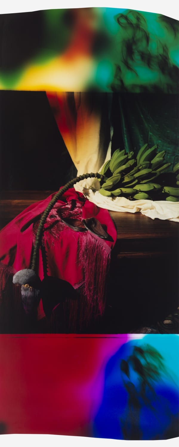 Chloe Sells SENESCENCE