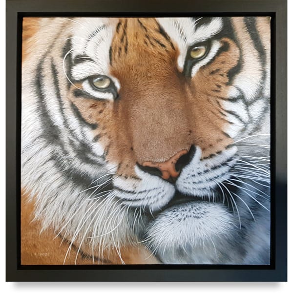 Krisztina Lencses - Tiger Stare (2019)