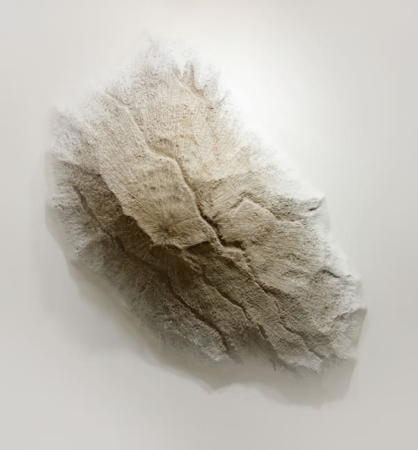 Taesoo Lee Throwing Stone 002 2022 Mixed Media Eps Poly Urea Paint On Stone Coat 180 X 150 X 25 5 Cm