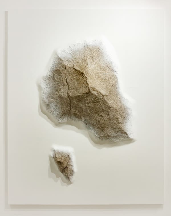 Taesoo Lee Throwing Stone 004 2022 Mixed Media Eps Poly Urea Paint On Stone Coat 200 X 160 X 33 Cm