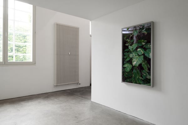 2019 05 11 Choi And Lager 07