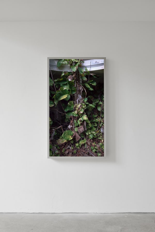 2019 05 11 Choi And Lager 08