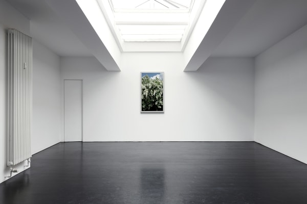 2019 05 11 Choi And Lager 25